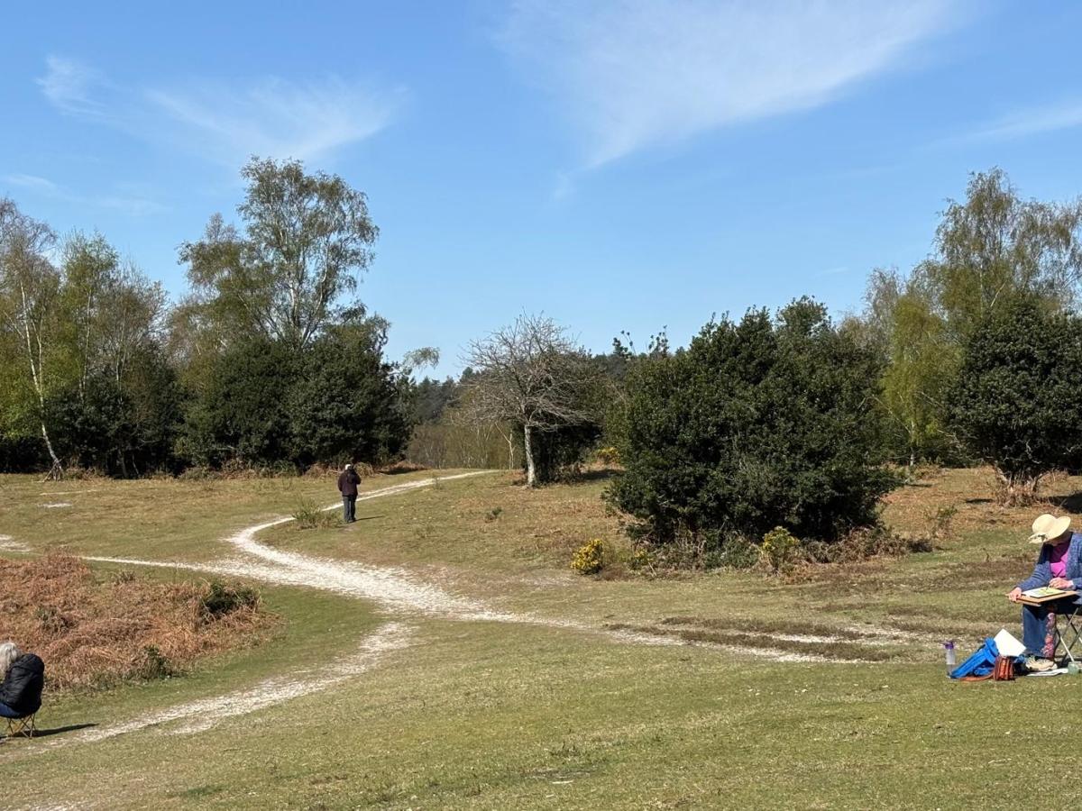 Cowprint Spring & Summer Sketching -August&nbsp;2025