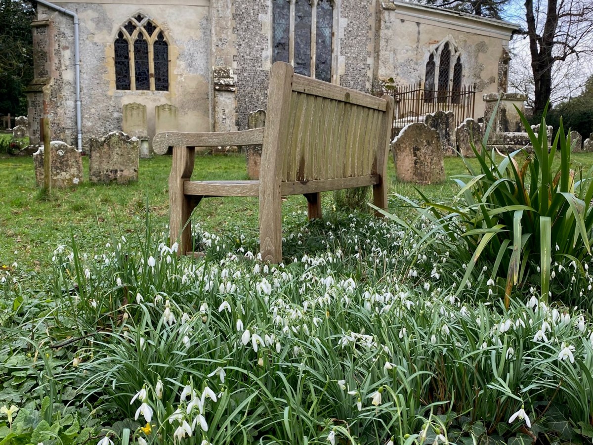 Cowprint into Spring Sketching – March&nbsp;2026